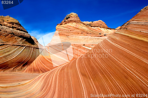 Image of "The wave" in Pariah Canyon