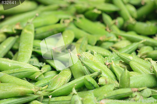 Image of pea background