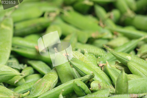 Image of pea background