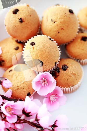 Image of muffins