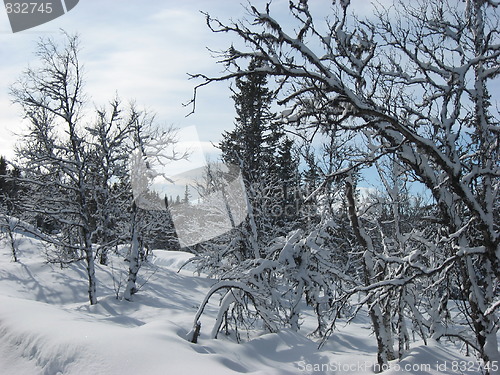 Image of Easter in the Norwegian mountains