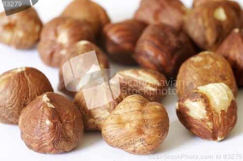 Image of Hazelnuts