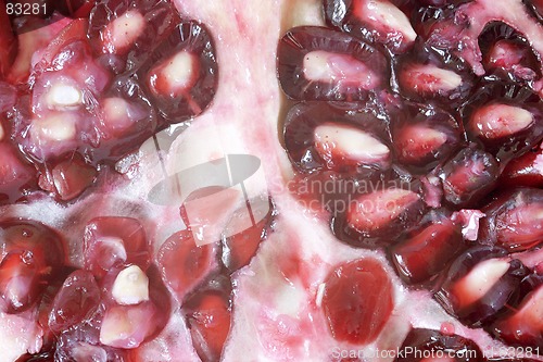 Image of Pomegranate