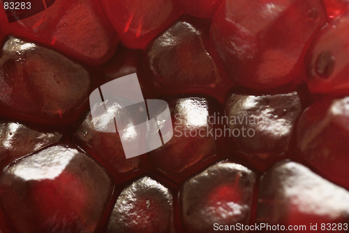 Image of Pomegranate Abstract