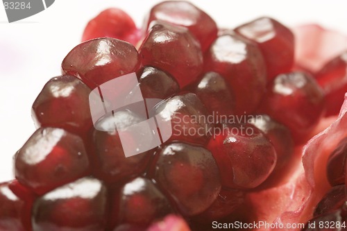 Image of Pomegranate Fruit
