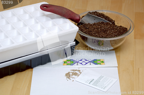 Image of Gardening - Sowing Seeds