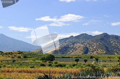 Image of Landscape in Jalisco,  Mexico