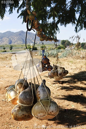 Image of Calabash gourd bottles in Mexico