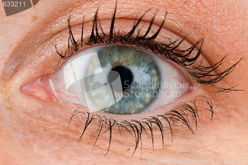 Image of Closeup of an eye