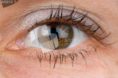 Image of Closeup of an eye