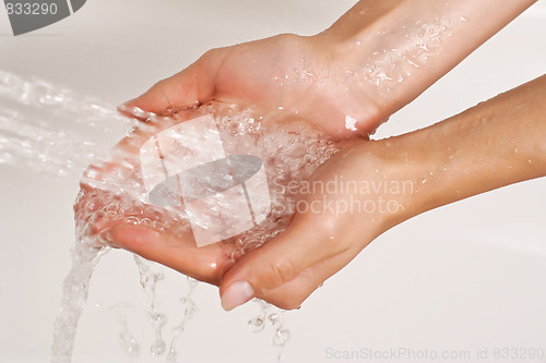 Image of Hands under a stream of shower