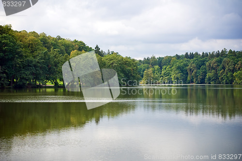 Image of Forest reflection 