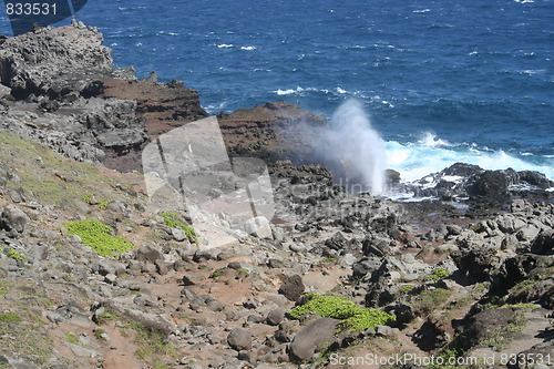 Image of Nakalele Blowhole on Maui Hawaii
