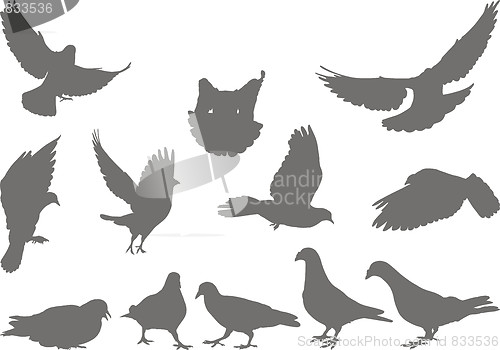 Image of Doves vector silhouettes bird