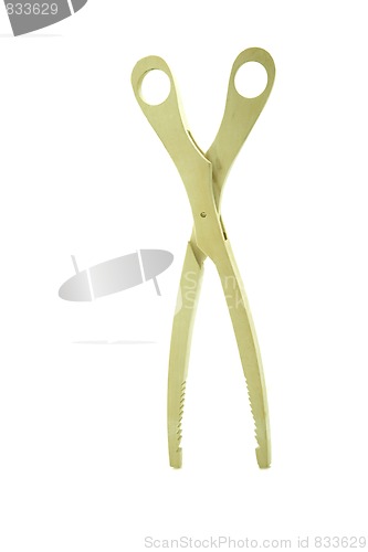 Image of wooden pliers