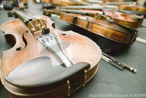 Image of Violins