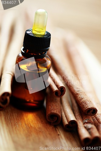 Image of cinnamon essential oil