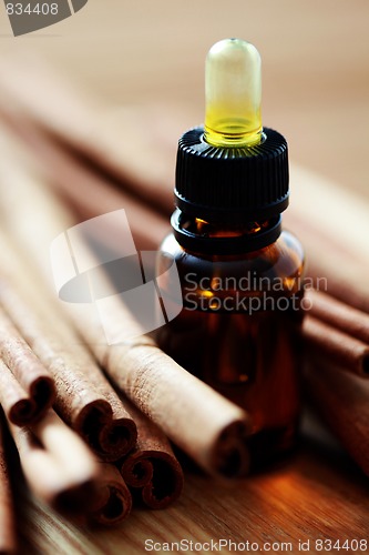Image of cinnamon essential oil