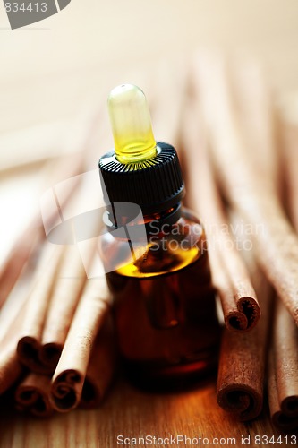 Image of cinnamon essential oil