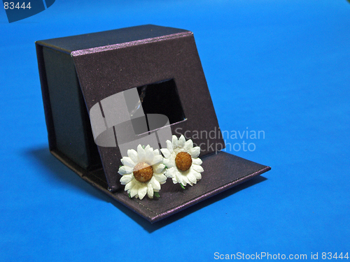 Image of flower out of the box