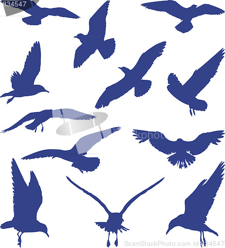 Image of Birds, seagulls in blue silhouettes 