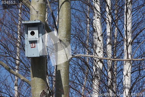 Image of Birdhouse