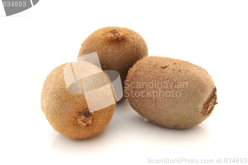 Image of Kiwi