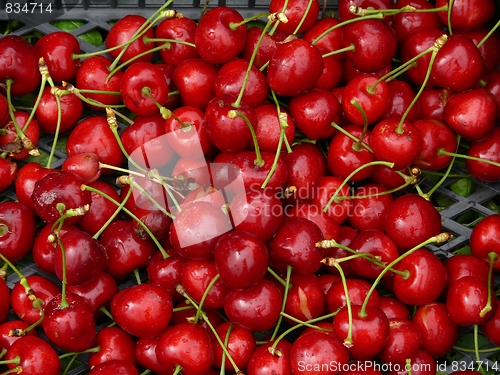 Image of Red cherry