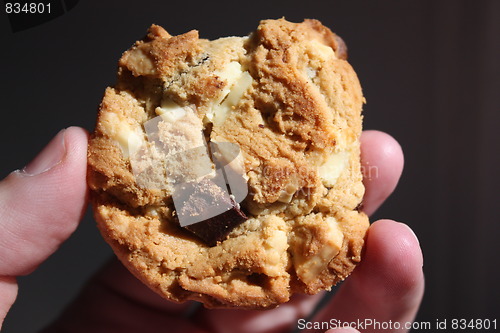 Image of Cookie