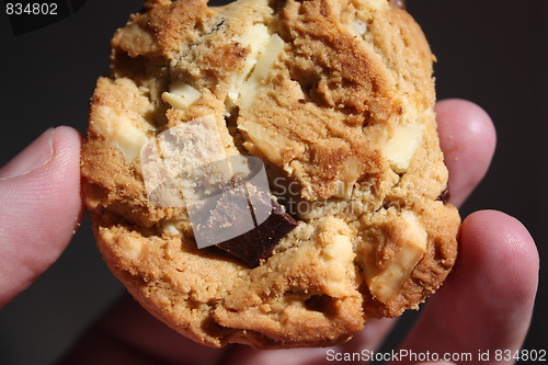 Image of Cookie