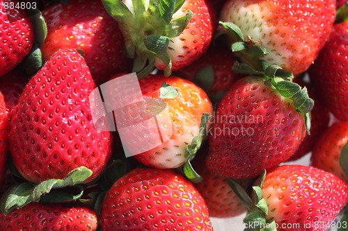 Image of Strawberries