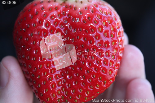 Image of Strawberries