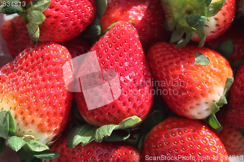 Image of Strawberries