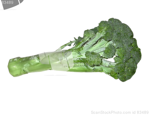 Image of Broccoli 2