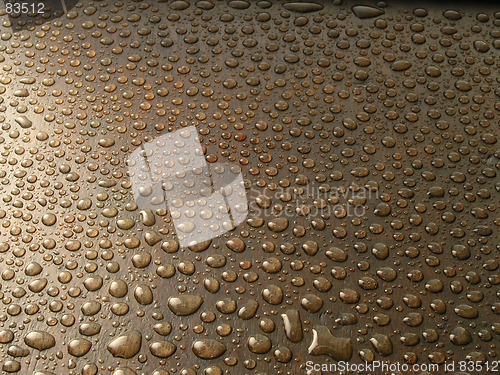 Image of Rain Drops