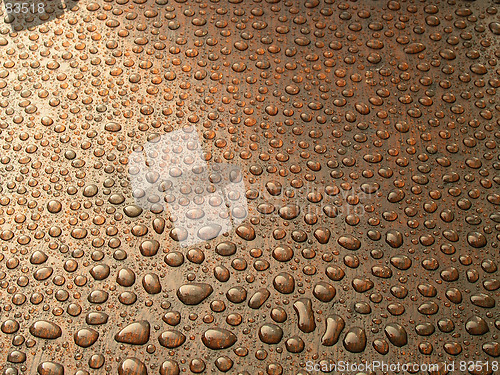 Image of Rain Drops