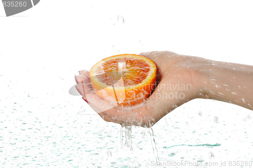 Image of orange in palms