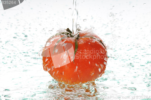 Image of tomato in water