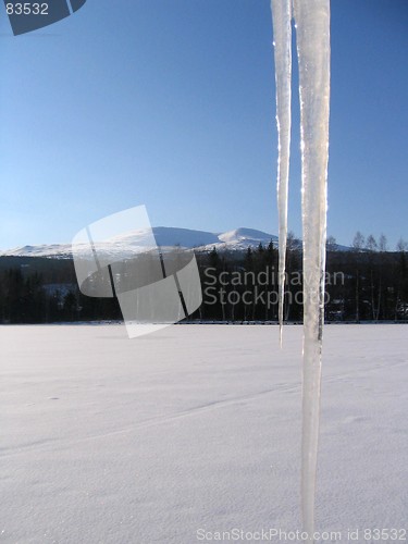 Image of Icicles