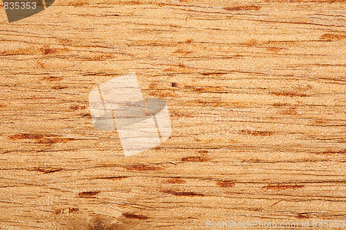 Image of Wood texture