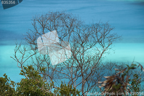 Image of Colours of Saint Thomas