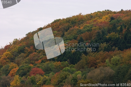 Image of Ruhr valley hill in autumn