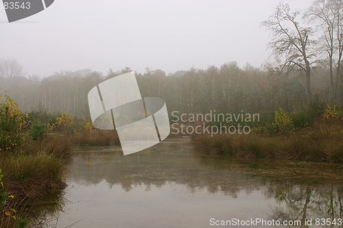 Image of Misty Pond 2