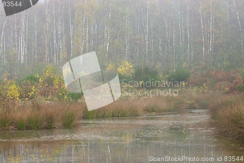 Image of Misty Pond 1