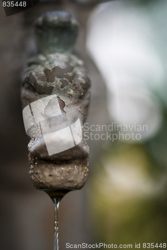 Image of Water Drop from a Fountain