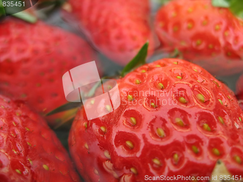 Image of Strawberries