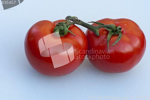 Image of Fresh Tomatoes, Tuscany