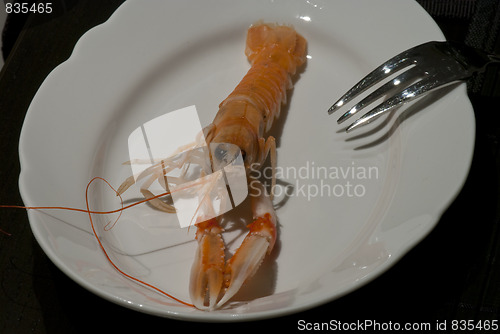 Image of Prawn ready to be eaten, Italy