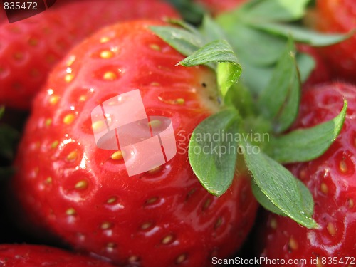 Image of Strawberries