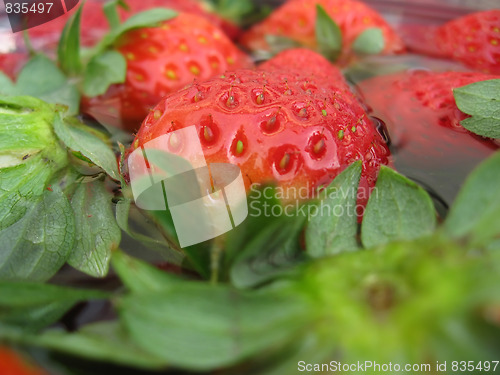 Image of Strawberries